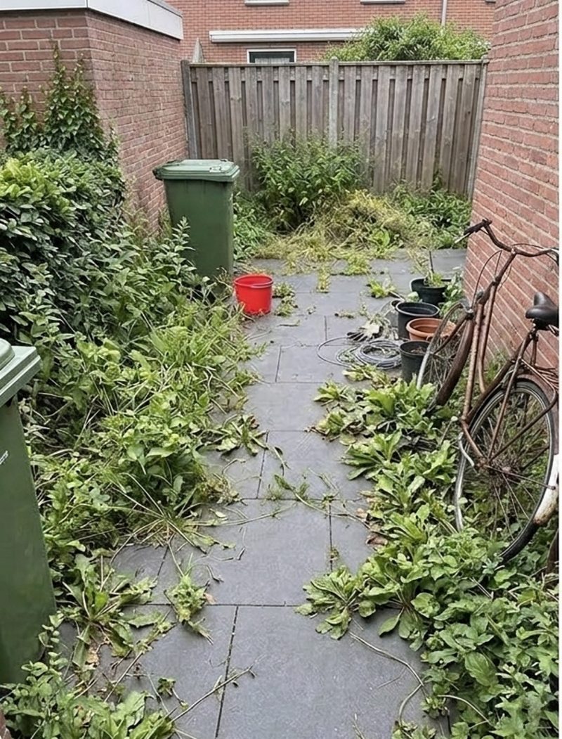 Binnentuin voor onderhoud door TuinFris
